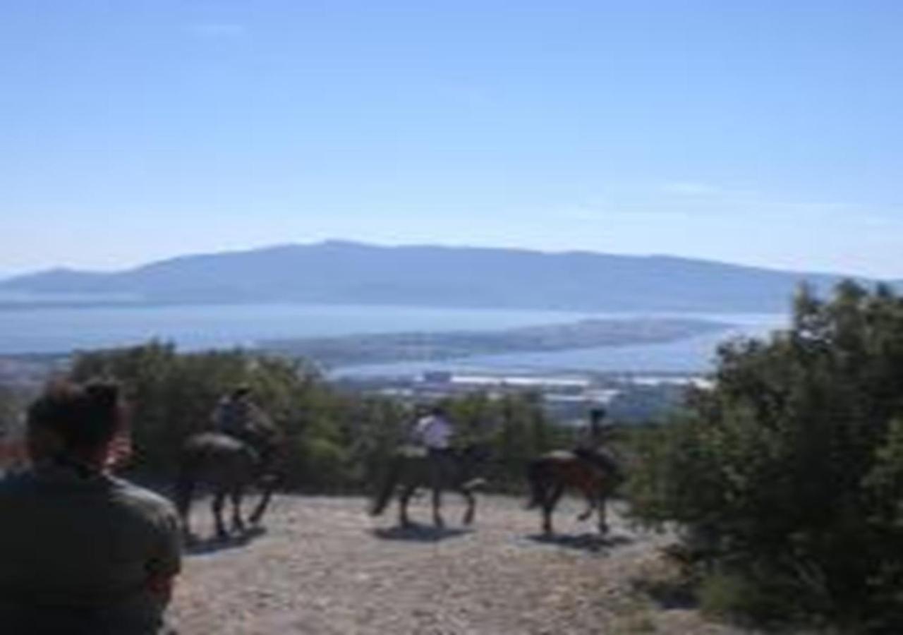 Villa App - Il Fenicottero Con Parcheggio Gratuito Ad Orbetello Exterior foto
